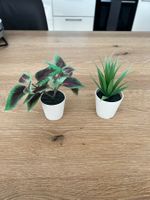 IKEA Plastikpflanzen klein