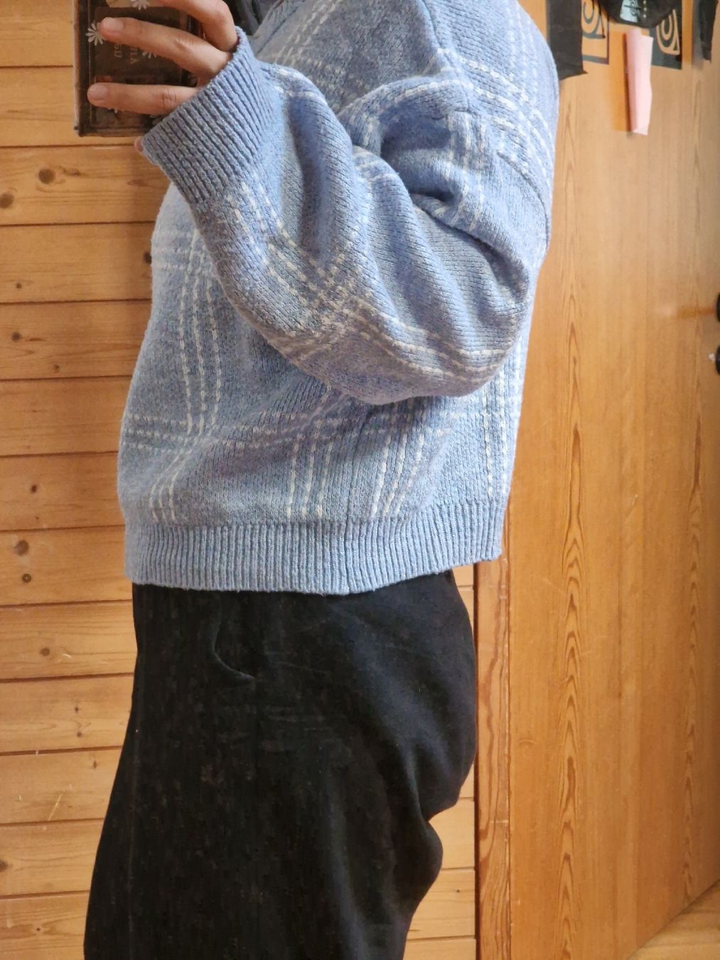 Maglioni & Felpe: Pullover – Usato da Wil SG venduto da zeh_pck9 1