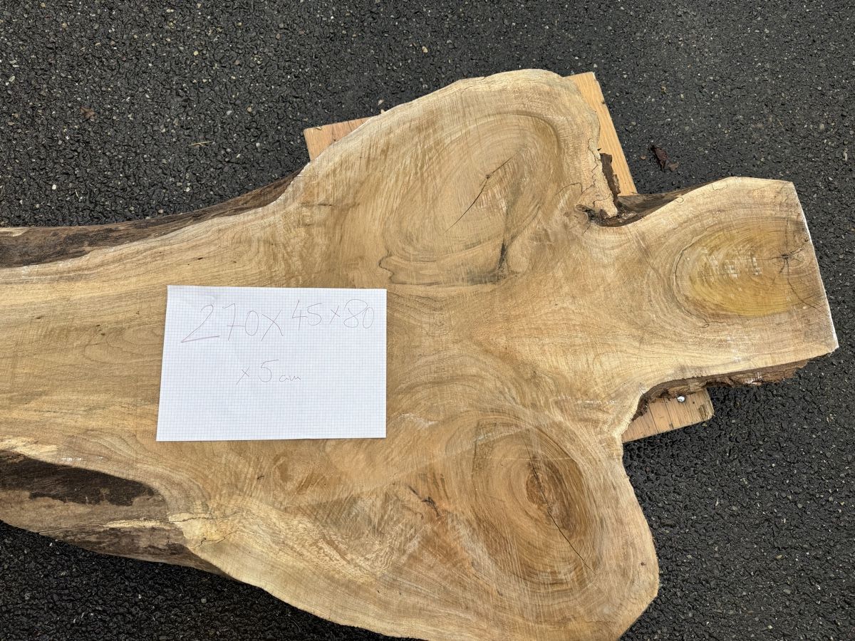 Articoli in legno: Nussbaum Klotzbrett 270  cm lang! – Usato da Gränichen venduto da onkel_xxl 4