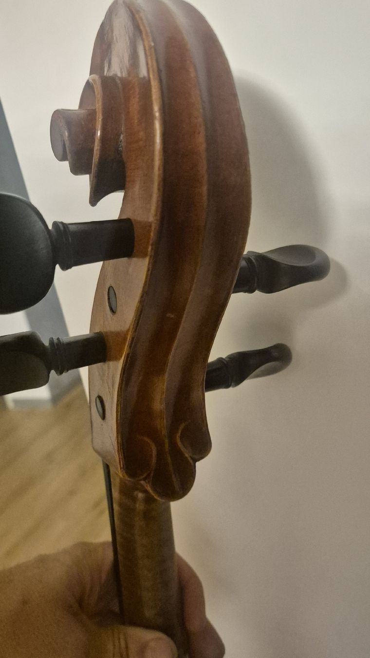 Strumenti musicali: Cello zu Verkaufen – Usato da Rämismühle venduto da beni0010 4