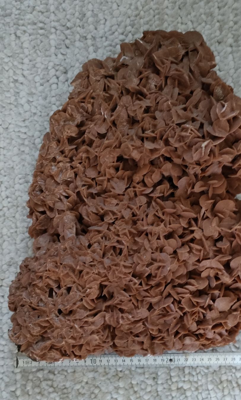 Fossili: Rose des Sables Wüstenrose 8.6kg – Usato da Riaz venduto da Tobydesmonts 5