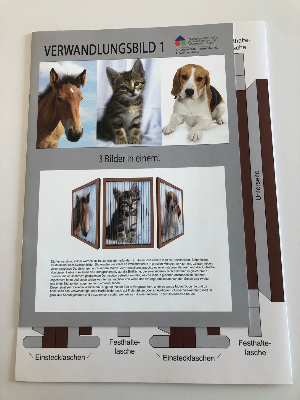 Kit bricolage: Bastelbogen: Verwandlungsbild mit Tieren – Nuovo (secondo la descrizione) da Rain venduto da Denbie