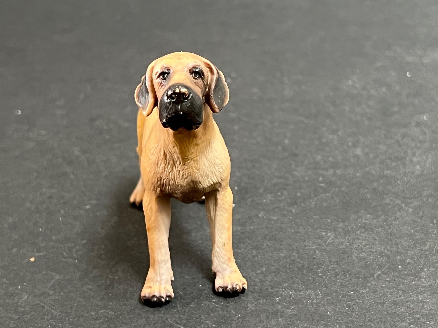 Schleich Figuren: Schleich 16320 - Deutsche Dogge Hund – Gebraucht aus Ennetbaden von mapa05 3