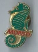 Seepferdchen PIN
