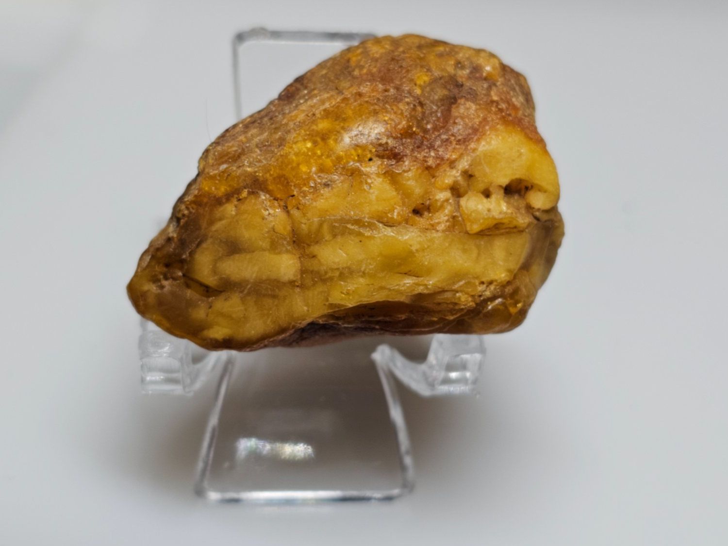 Minerali & Pietre curative: 9,7 gr Rohbernstein echt Roh Bernstein baltisch butterscotch – Nuovo (secondo la descrizione) da Riedt b. Erlen venduto da Gottestraene 1