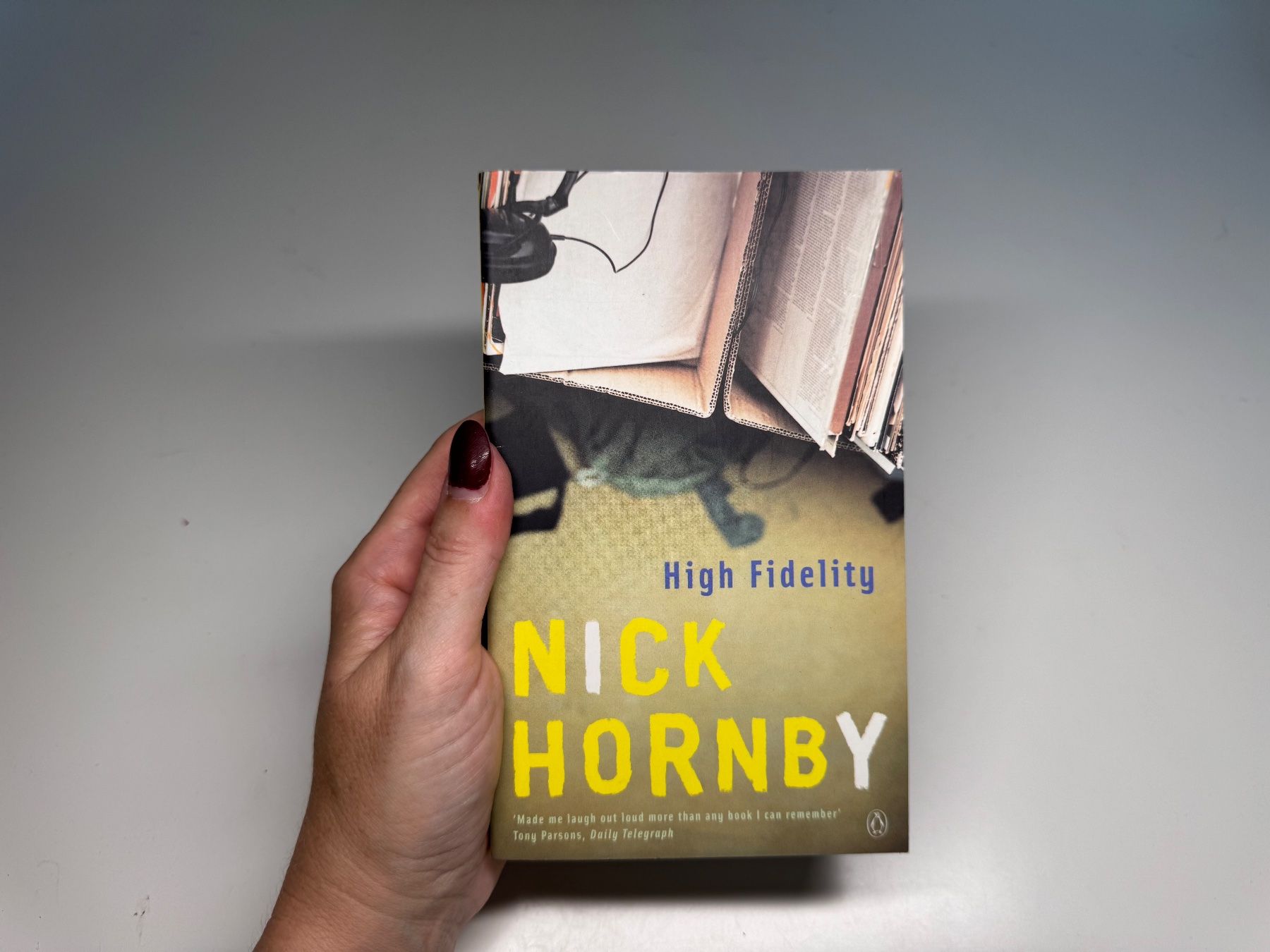 NOVEL Nick Hornby, High Fidelity (Gebraucht) in Grosswangen für CHF