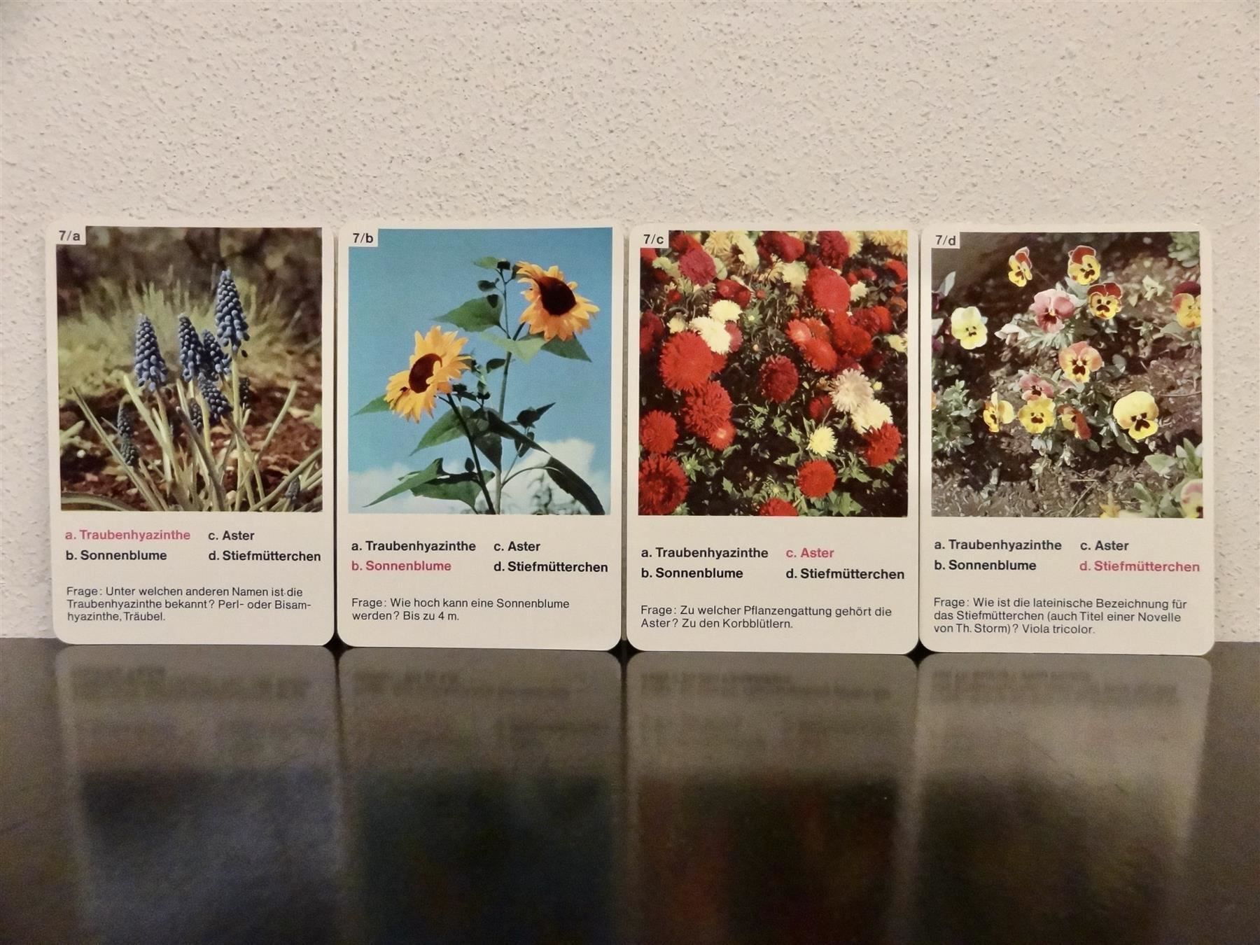 Giochi: altes Quartett BLUMEN-QUARTETT BLUMEN – Usato da Kerzers venduto da wisaundso 7