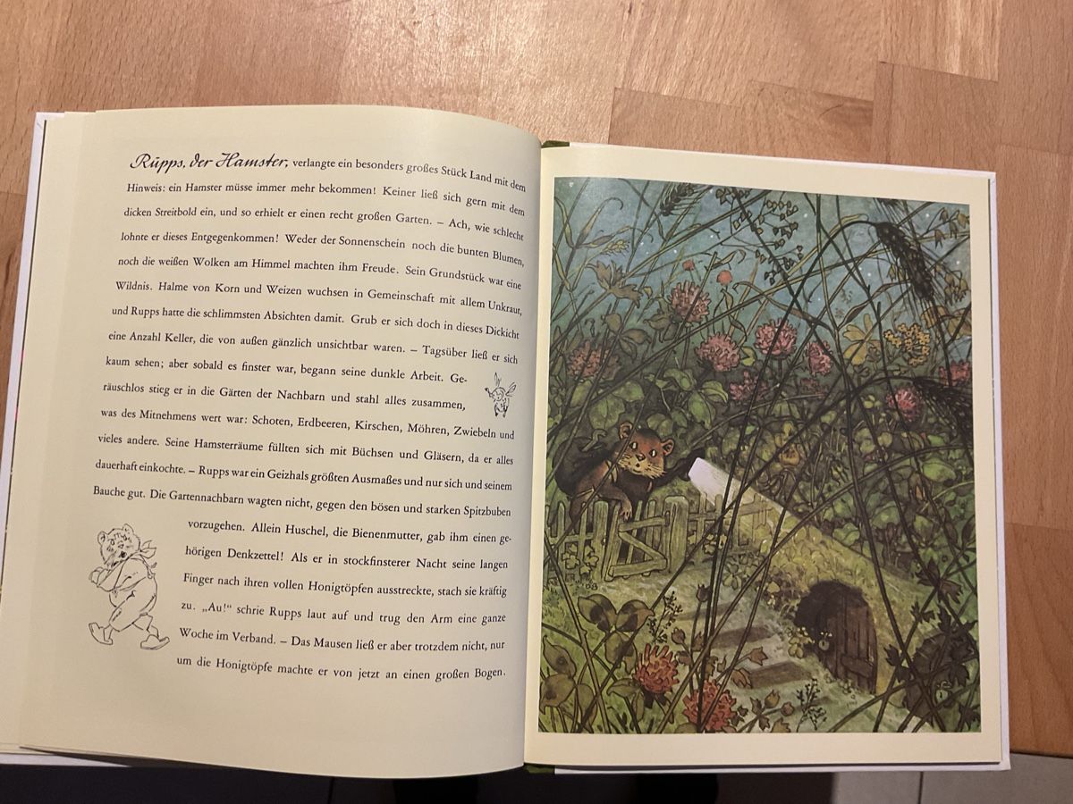Libri: Gartengemeinschaft Malepünke, 4+ – Nuovo (secondo la descrizione) da Wil ZH venduto da RiccardaWegmann 5