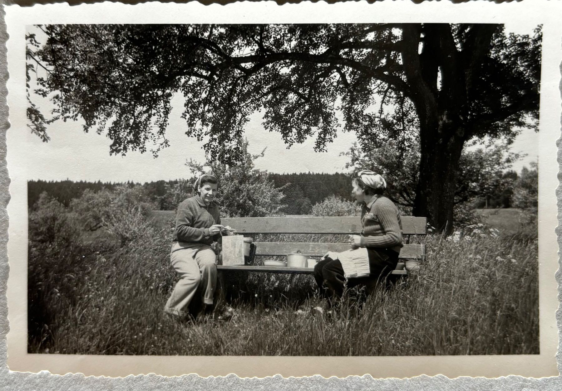 Ansichtskarten: Privatfoto, Unikat - Picknick, 1955 – Gebraucht aus Frauenfeld von Merk52