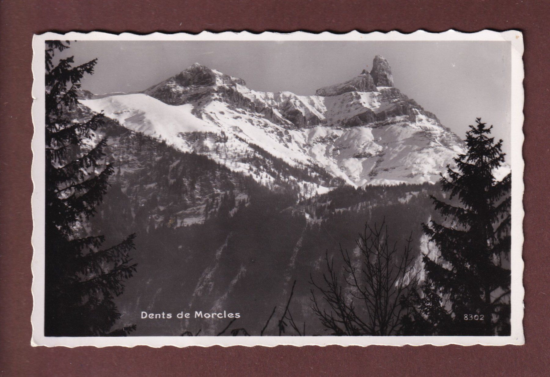 Cartes postales: DENTS DE MORCLES – D'occasion à Pully par nicecards-shop