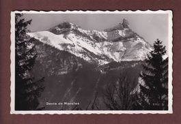 DENTS DE MORCLES