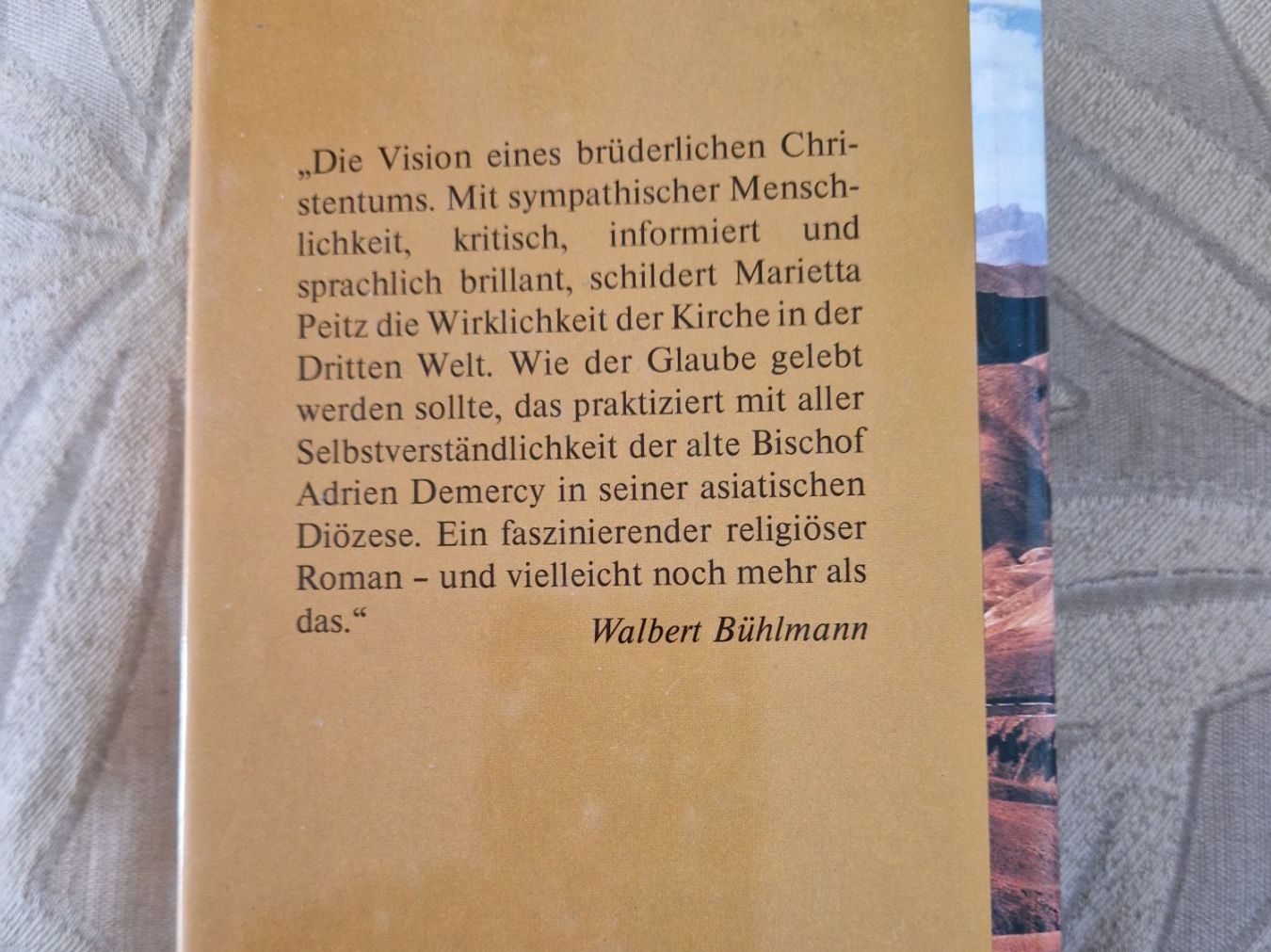 Libri: Roman: Andambocham von Marietta Peitz – Usato da Salgesch venduto da cavio01 1