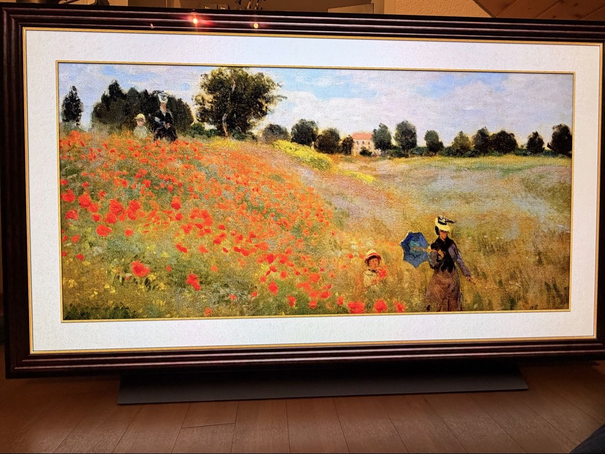 Televisori: LG OLED65CX6LA (2020) – Usato da Pfyn venduto da T0RL0C 2