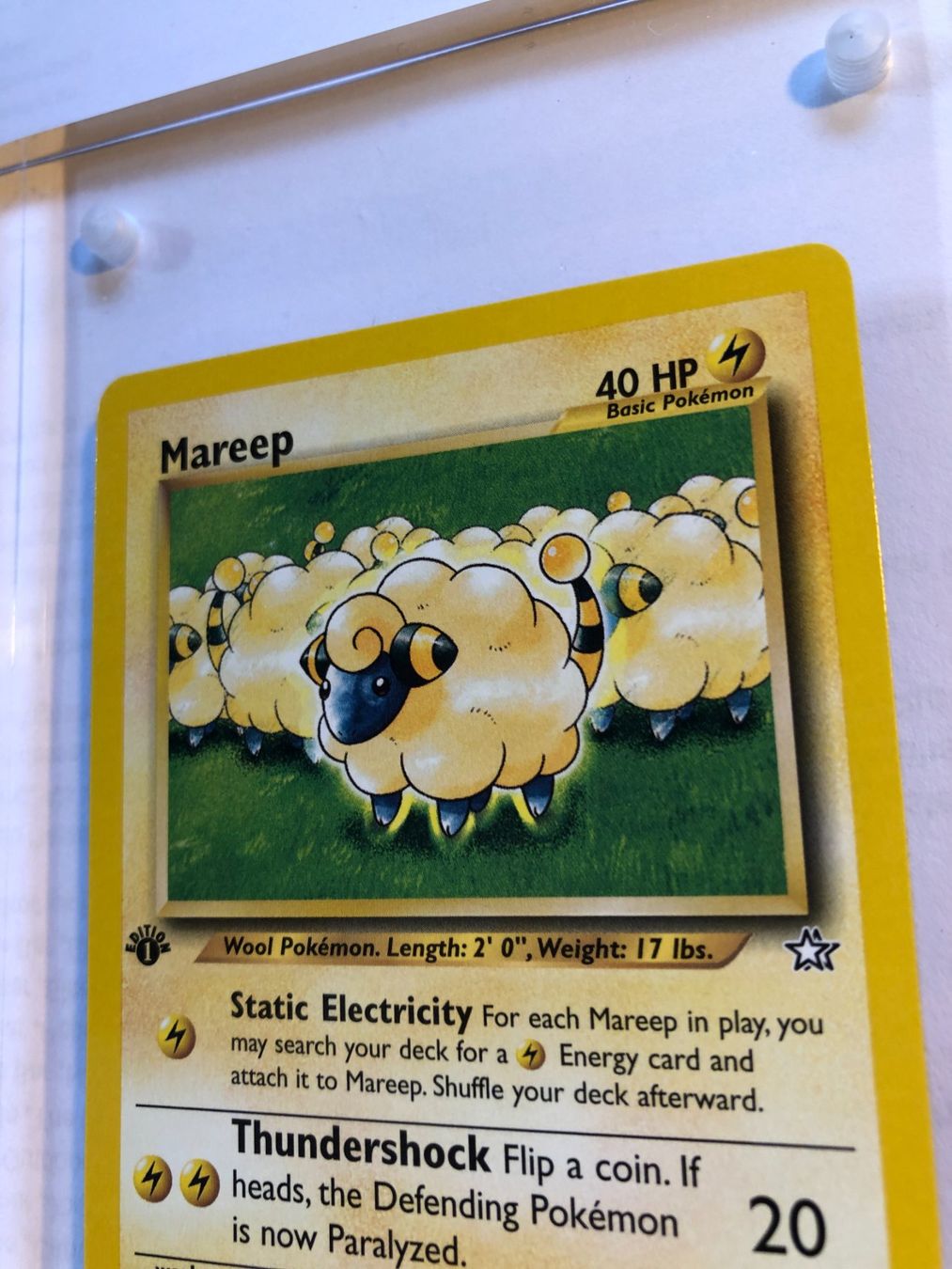 Sammelbilder & Trading cards: Mareep 1st Neo Genesis - NM - ab 1.- – Gebraucht aus Giubiasco von dan_pr8b 3