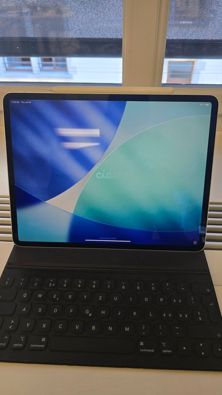 Apple Tablet PC: iPad Pro 12.9 " / Zoll, 4. Generation (9) – Gebraucht aus Winterthur von GreenSkyline