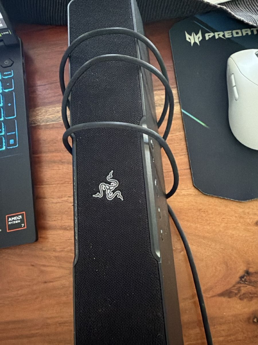 Razer Casse acustiche: Razer Leviathan v2 X Soundbar – Nuovo (secondo la descrizione) da Menziken venduto da StefanVerkauftAlles
