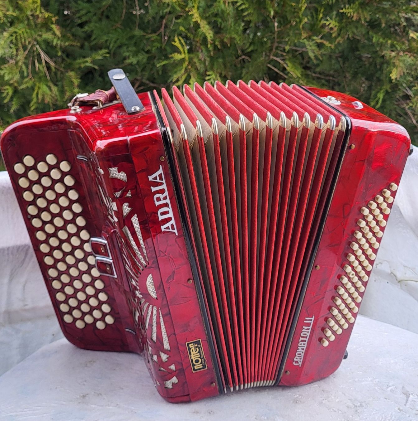 Strumenti musicali: Accordéon Adria Itália – Usato da Penthalaz venduto da EvandroLuz 2