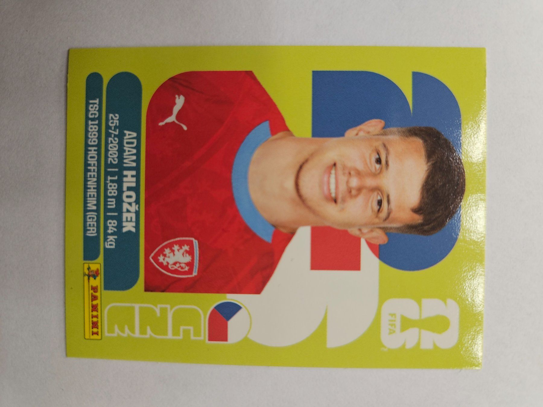 Panini Carte collezionabili: Cze19 – Usato da Würenlingen venduto da Dinli