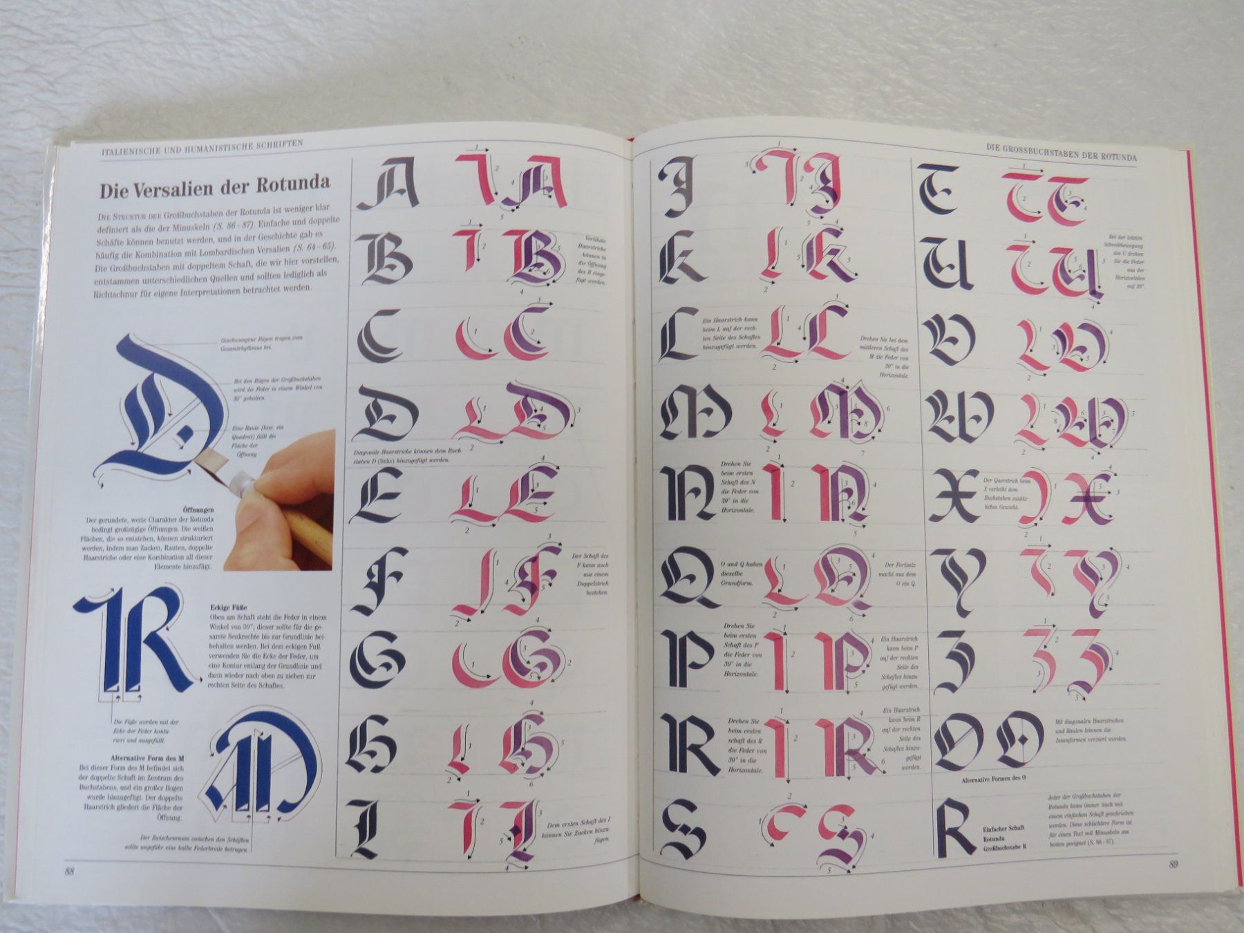 Libri: Kalligraphie, Anleitung, Mondo Buch – Nuovo (secondo la descrizione) da Küttigen venduto da Rawlings 9