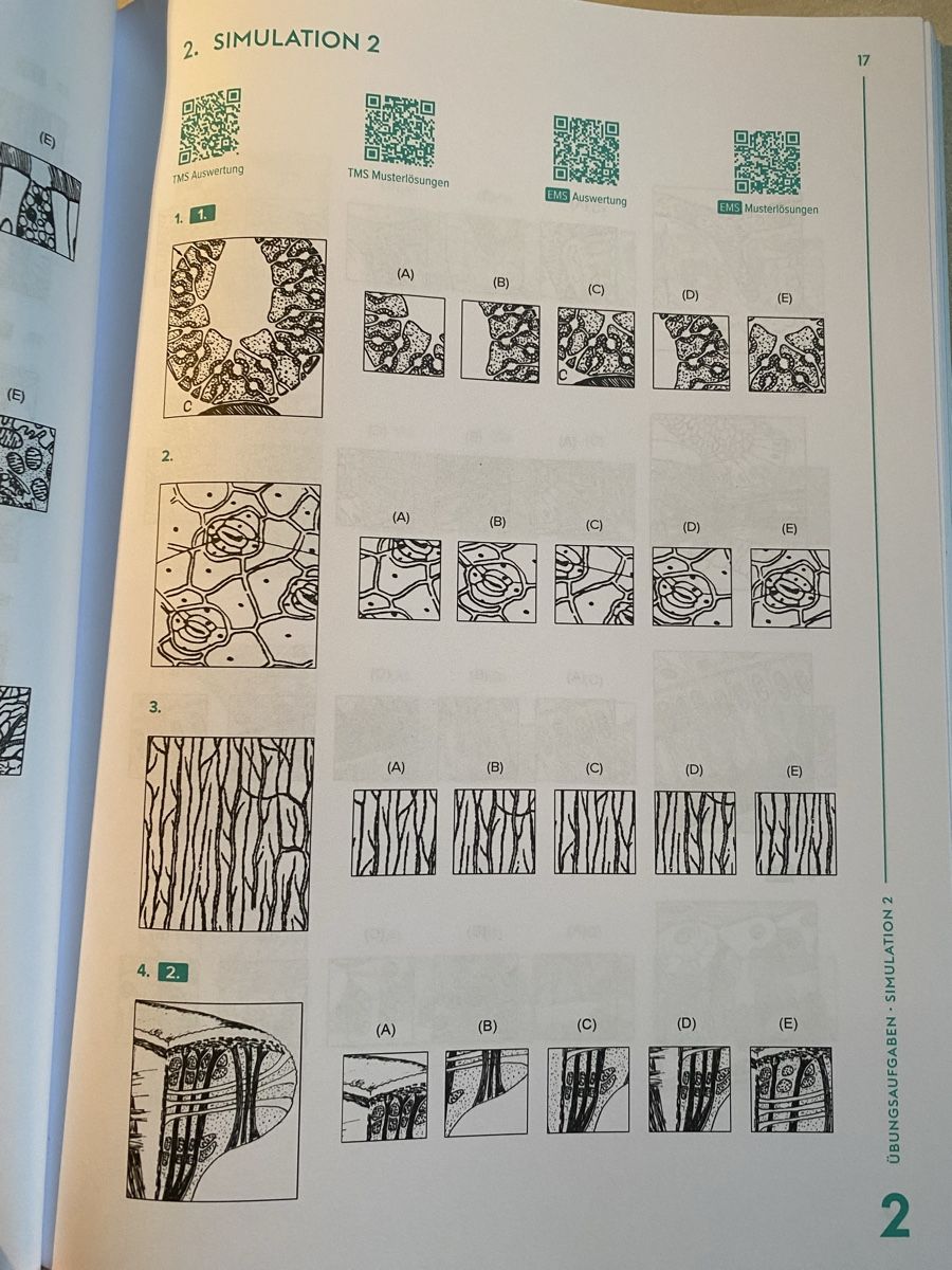 Libri: TMS/EMS Muster zuordnen Übungsbuch – Nuovo (secondo la descrizione) da Jonen venduto da ._Leonie_. 2