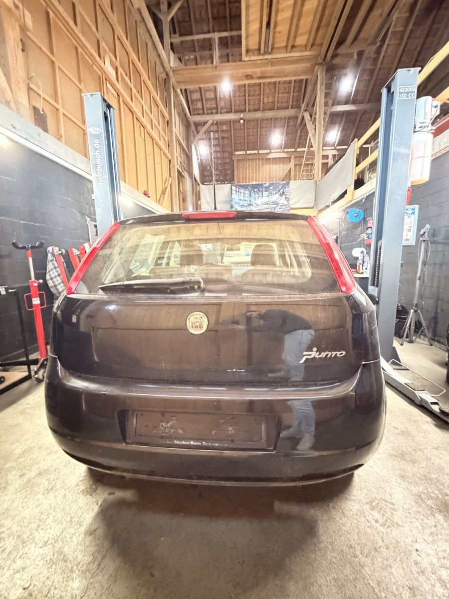 Fiat Automobili: Fiat Punto 1.4 8V – Usato da Amriswil venduto da mak_v9kw 1