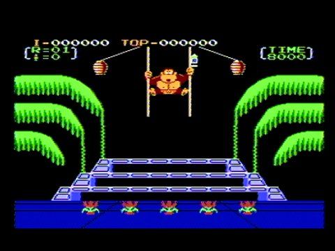 Nintendo Giochi: Donkey Kong 3 NES Game – Usato da Eyholz venduto da mix_cyx9 3