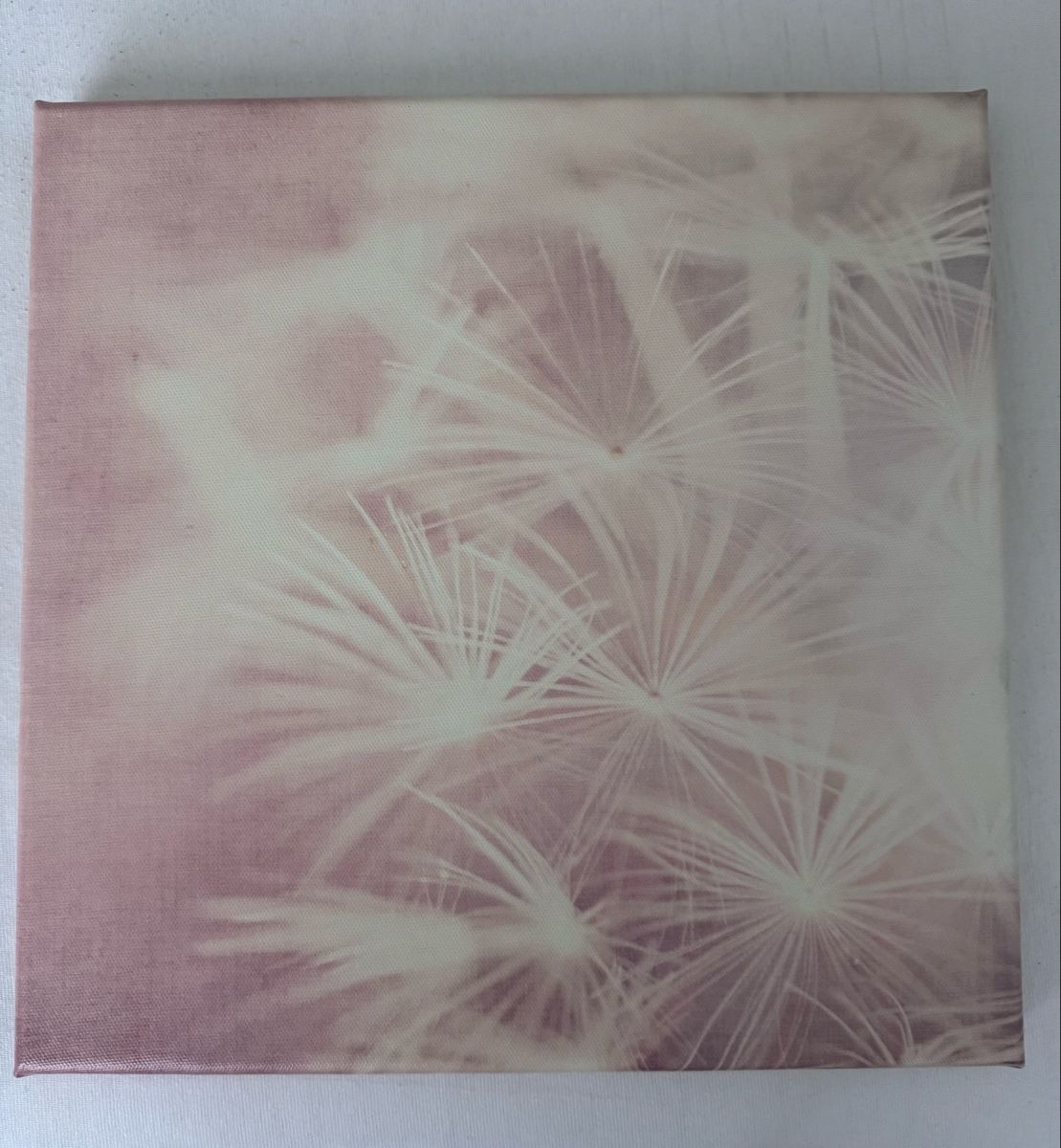 Foto & Immagini: Wandbild Set 2er Set Pusteblume 30x30cm – Nuovo (secondo la descrizione) da Niederwangen BE venduto da Schatam 2