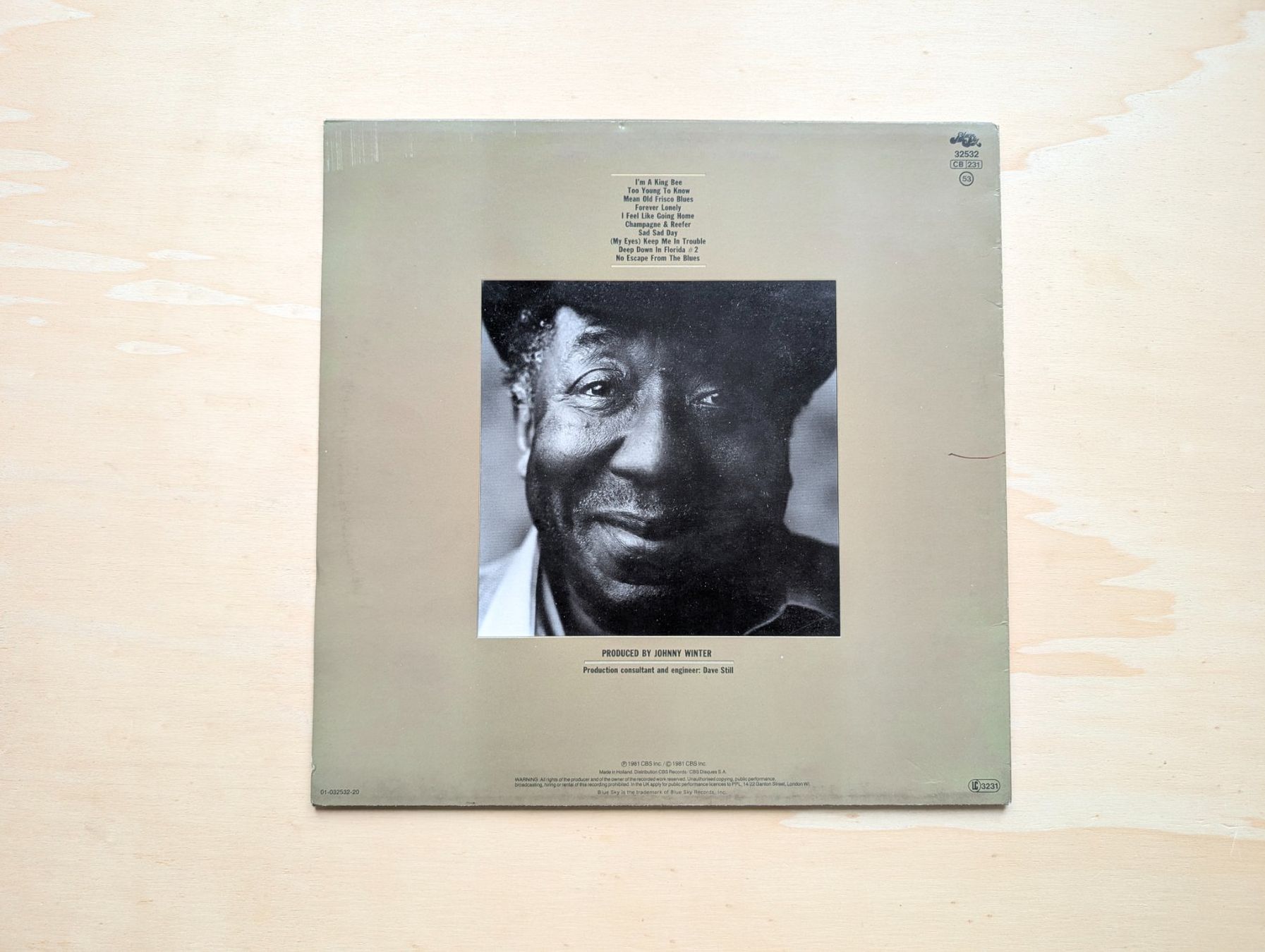 Dischi in vinile: Muddy Waters – King Bee – Usato da Ebikon venduto da kisuM 1