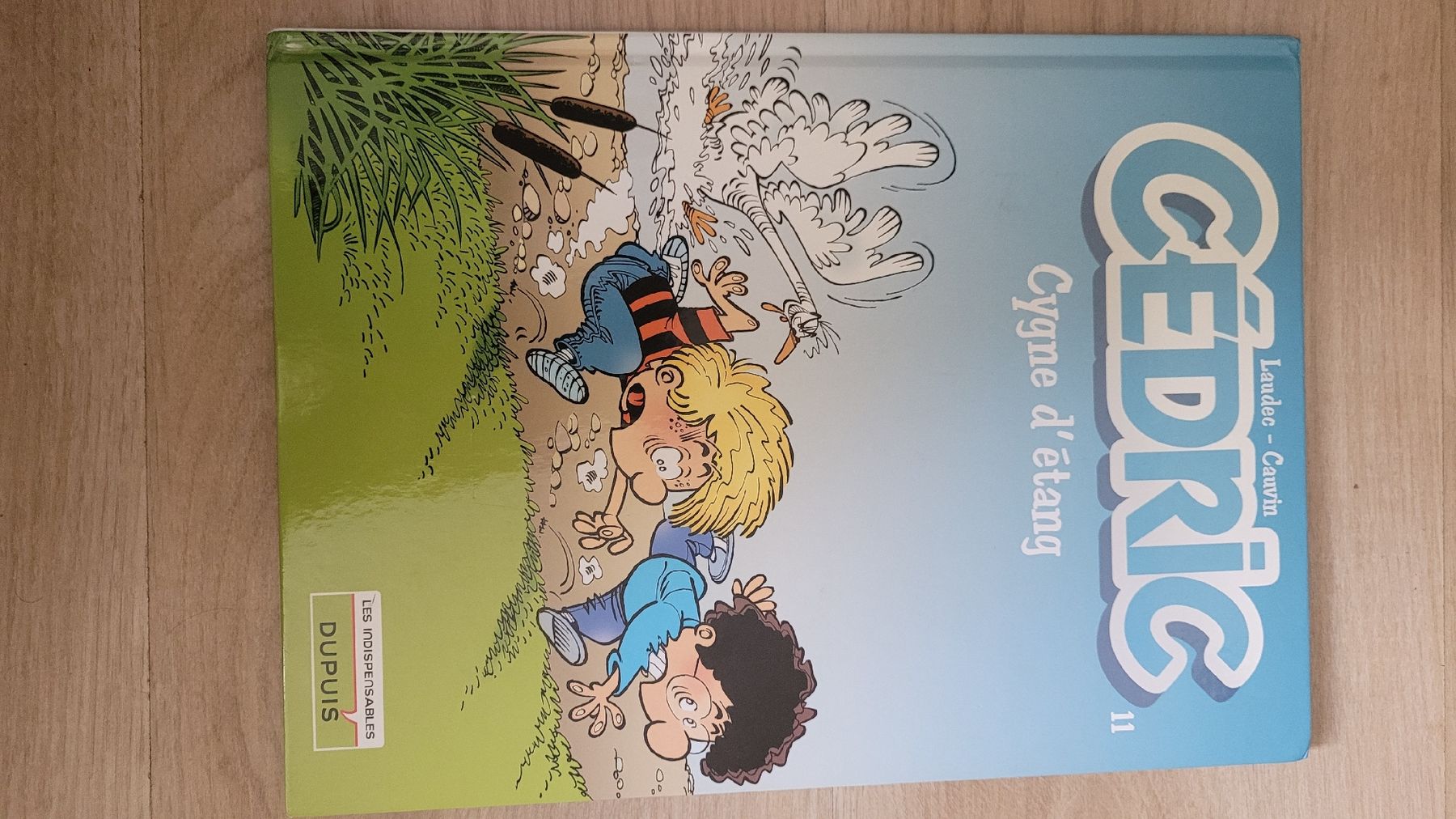 Fumetti: Cedric - cygne d'étang – Usato da Bernex venduto da Elberciano