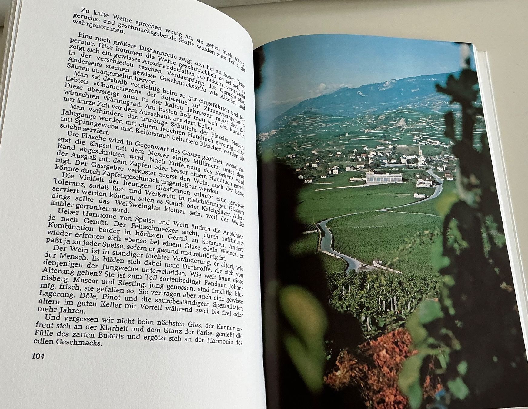 Libri: Weinbuch "Der Wein im Oberwallis" 1972 – Usato da Crans-Montana venduto da plainemorte 7
