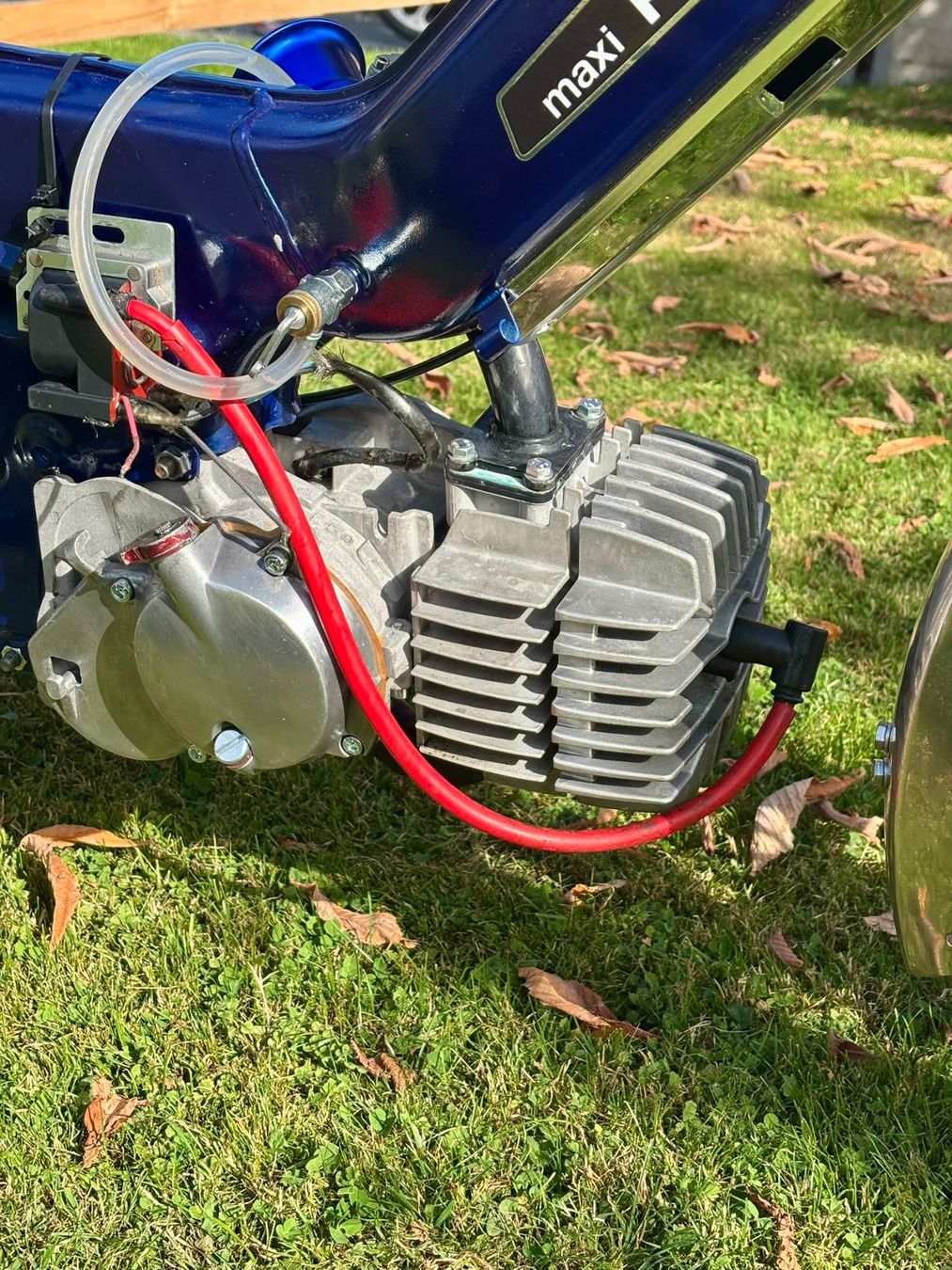 Puch Moteurs: Puch  E50 Italkit Rennmotor – Neuf (Voir description) à Schüpfheim par Angelhear4 1