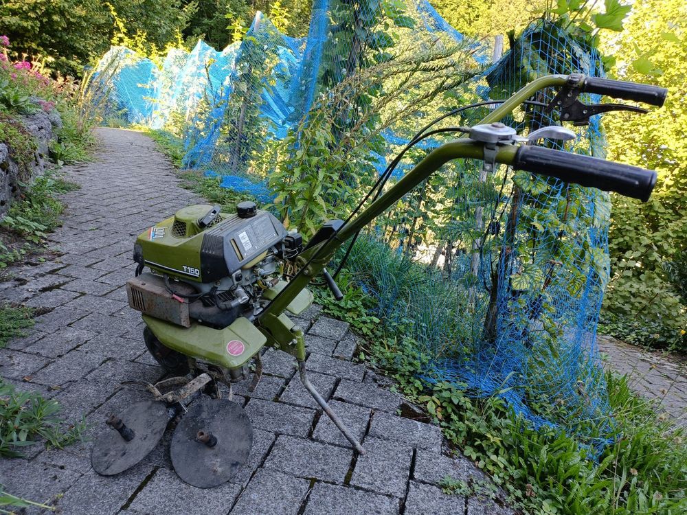 Gartenfräse Lady T150 Kaufen auf Ricardo