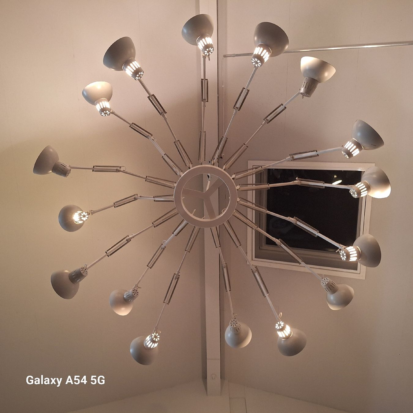 Moooi Lampadari & plafoniere: Hängeleuchte (Moooi Dear Ingo) – Usato da Geuensee venduto da Goldenhand 1
