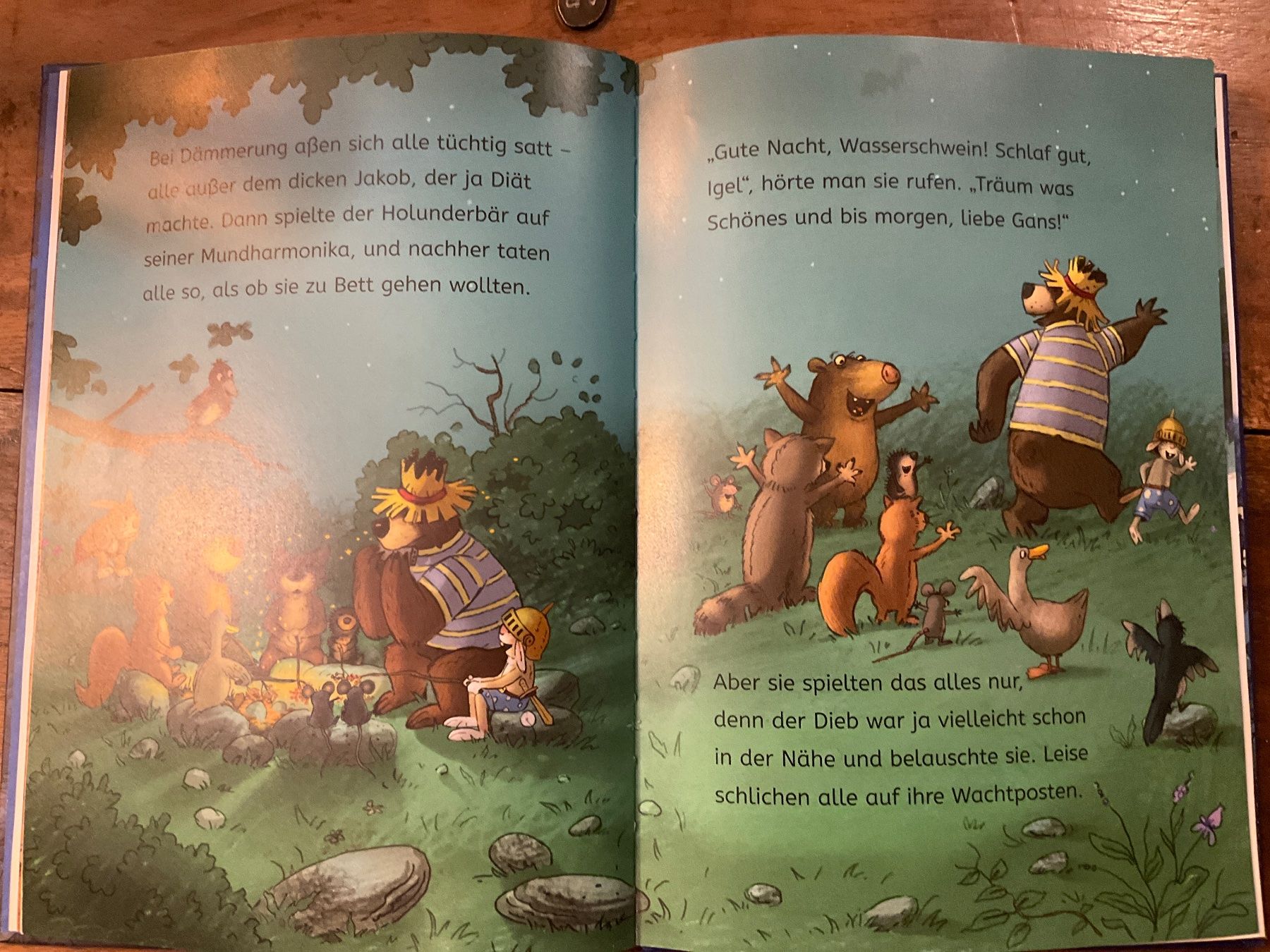 Bücher: Hase und Holunderbär, Der Dieb in der Heide – Gebraucht aus Avenches von Lactobacille 2