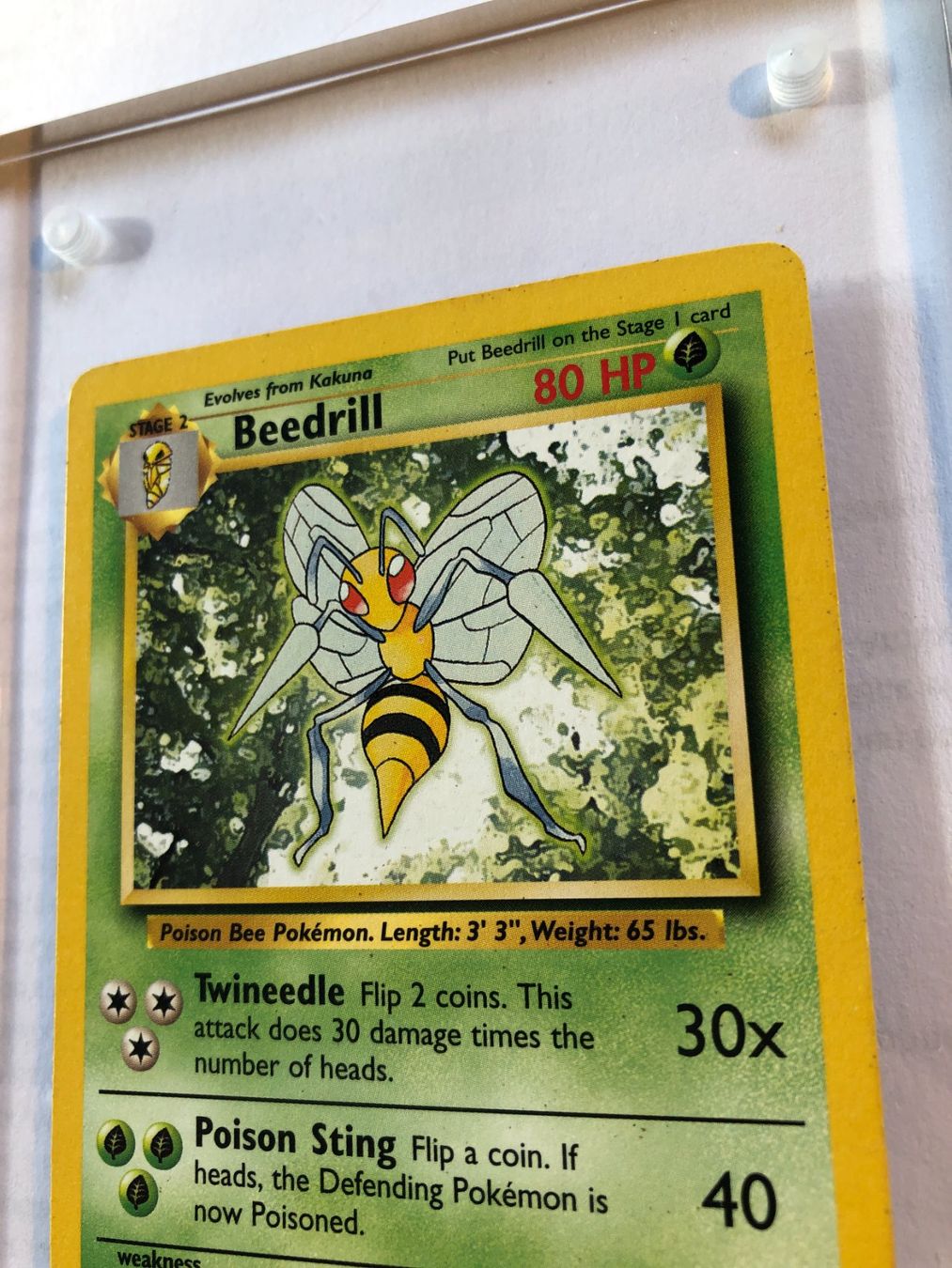 Carte collezionabili: Beedrill (rare) Base set - LP - ab 1.- – Usato da Giubiasco venduto da dan_pr8b 3