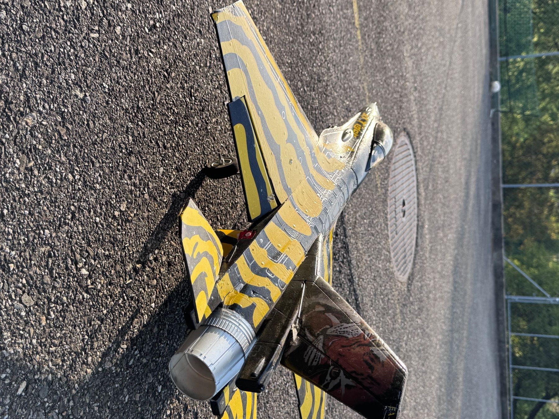 Modellismo RC: RC F-16 Tiger – Usato da Bärau venduto da nic_frj8 1