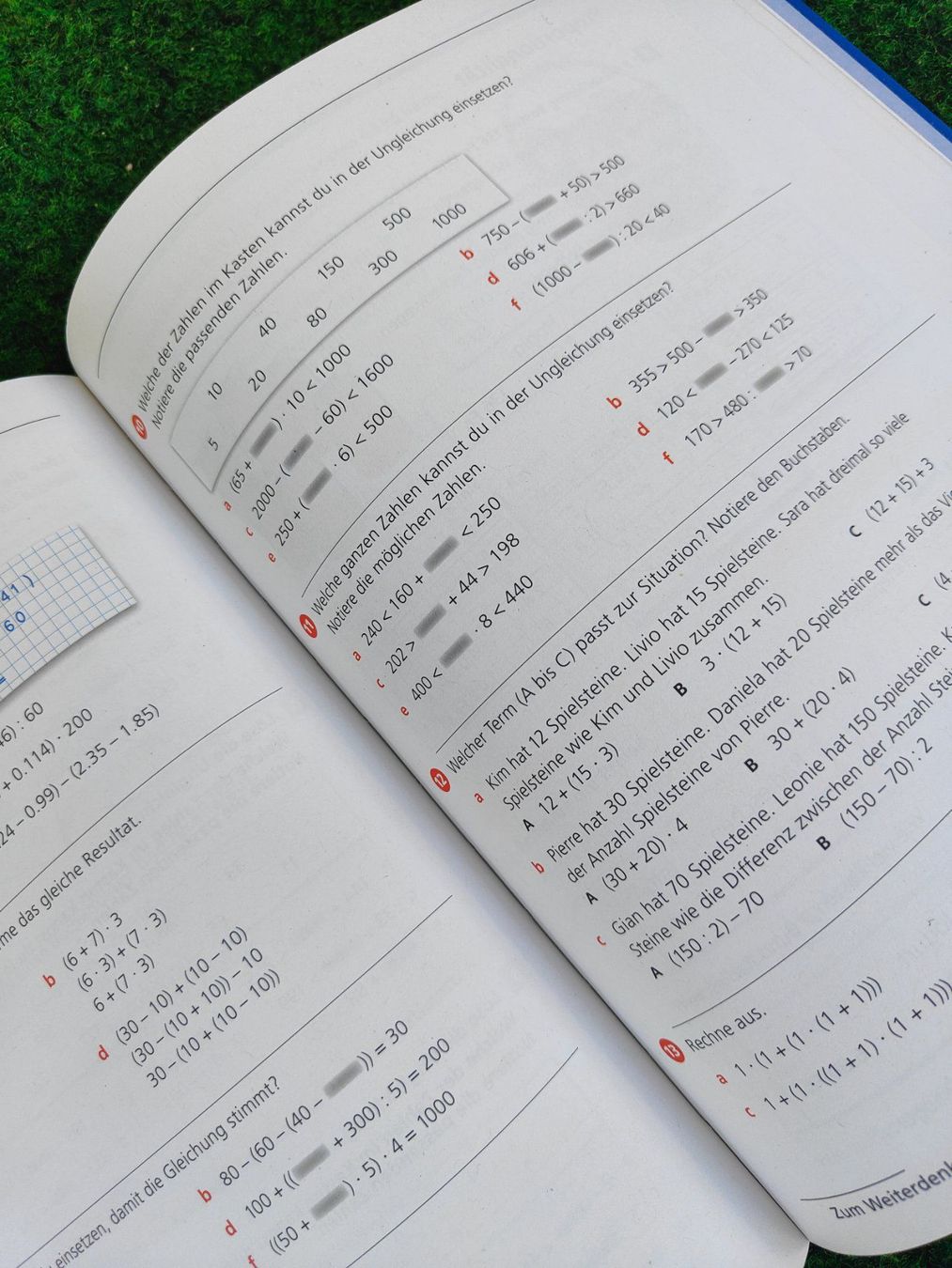 Libri: Mathematik Primarstufe 5 Themenbuch Neu – Nuovo (secondo la descrizione) da Davos Platz venduto da wauwauin 2