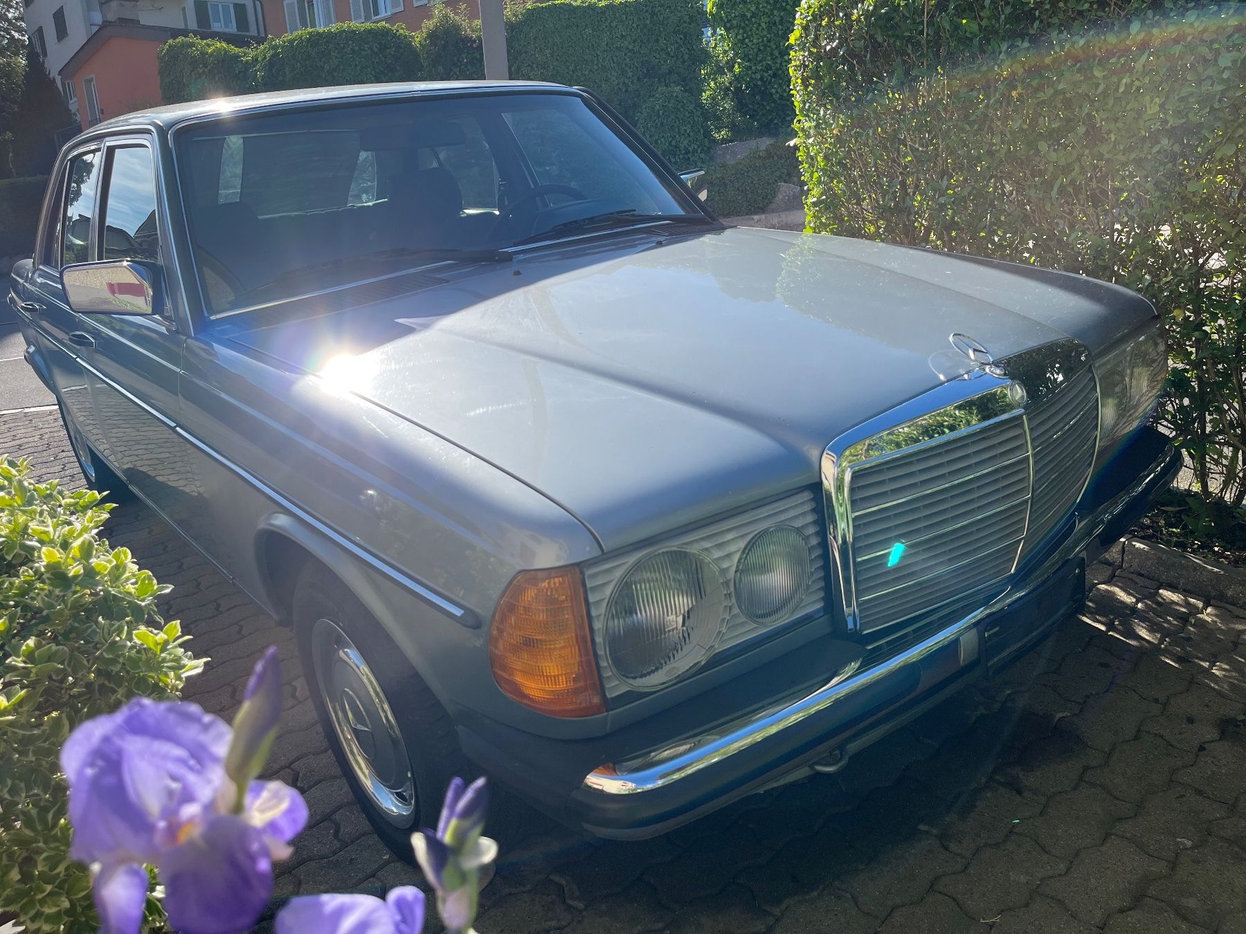 Mercedes-Benz Automobili: Oldtimer Mercedes Benz 200 W123 – Usato da Neuhausen venduto da BETO73 3