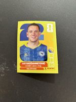 Panini BIH 8
