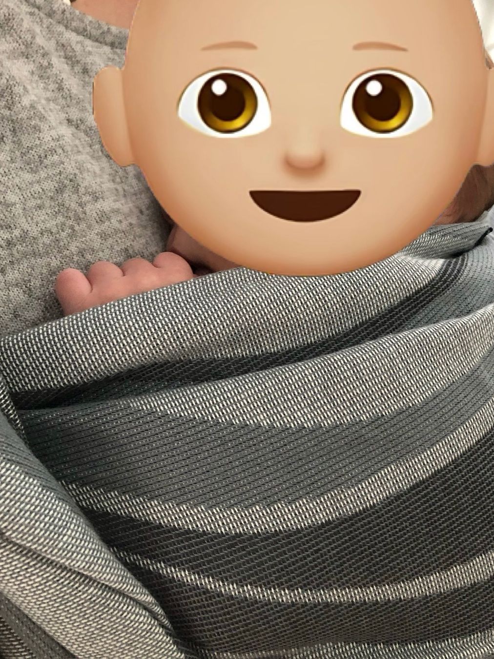 Didymos Marsupi portabebè: Didymos Tragetuch, Grösse 6, Grau Gestreift! – Usato da Möhlin venduto da chb_l96z 1