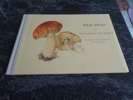 "Pilz-Atlas Band I:  Spätsommer" bis Herbst Jahr 1951