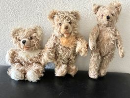 3 hübsche Vintage Teddy Bären