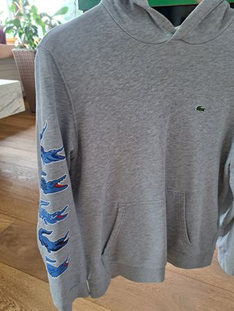 Lacoste Kinderpullover 152 158 mit Jeans Youngster