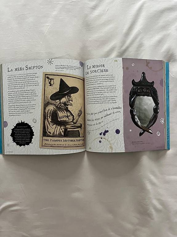 Libri: Livre Harry Potter  – Usato da Chavannes-des-Bois venduto da dvergani 2