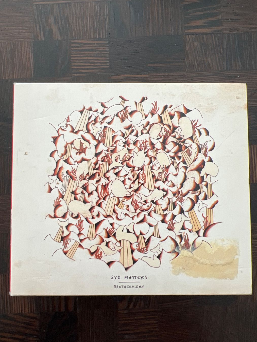 CDs: CD Syd Matters « Brotherocean » – Gebraucht aus Bouveret von Feelgoodtrading