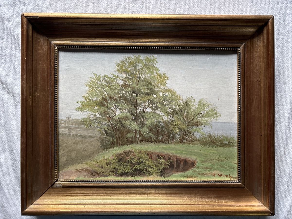 Dipinti: A.WERNLY 19ème – Usato da Sion venduto da pasadena1914 1