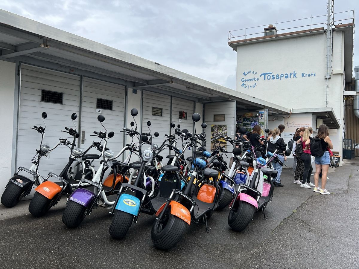 Citycoco Scooter: Fatboy E-Scooter, Citycoco, Elektro Scooter – Nuovo (secondo la descrizione) da Kollbrunn venduto da Rijeka33 1