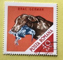 Briefmarken aus Rumänien gestempelt  Siehe Original Fotos. 