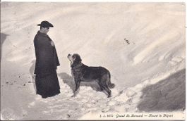 GRAND ST. BERNARD, avant le départ