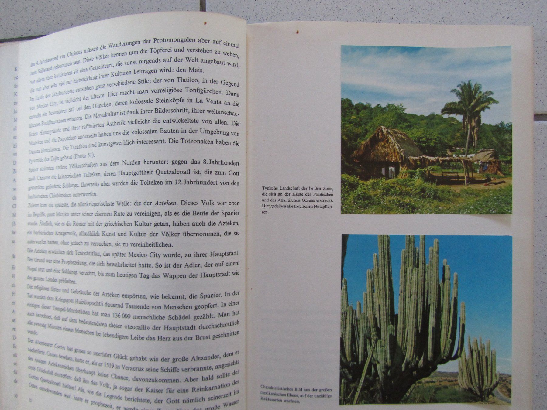 Libri: Mexiko - Silva Buch von 1962 – Usato da Weiningen ZH venduto da dietsch57 2